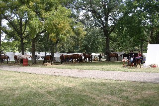 A long picket line